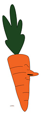 Image showing A big orange carrot vector or color illustration