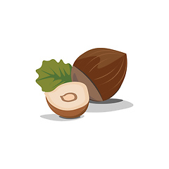 Image showing Hazelnut with leaf illustration vector on white background