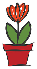 Image showing Orange flower in red pot vector illustration on white background