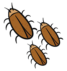 Image showing Three brown cockroaches vector illustration on white background.