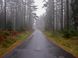 Image showing Foggy morning