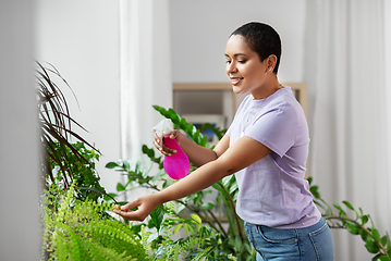 Image showing woman spraying houseplant with water at home