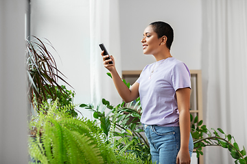 Image showing african american woman with smartphone at home