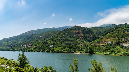 Image showing View of Douro Valley, Portugal. 