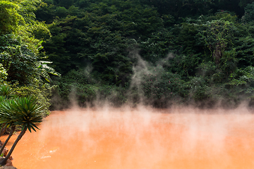 Image showing Blood pond hotsprings in Beppu of Japan