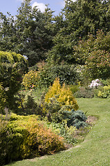 Image showing Garden