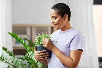 Image showing african american woman with plants at home