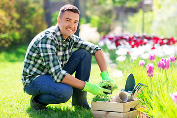 Image showing middle-aged man with tools in box at summer garden