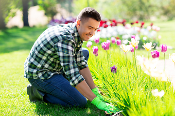 Image showing happy man taking care of flowers at garden