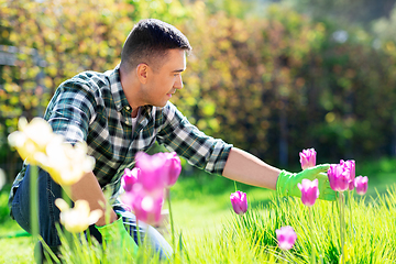 Image showing happy man taking care of flowers at garden