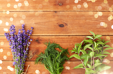 Image showing lavender, dill and peppermint on wooden background