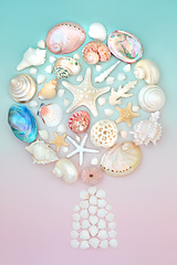 Image showing Surreal Abstract Sea Shell Tree Composition