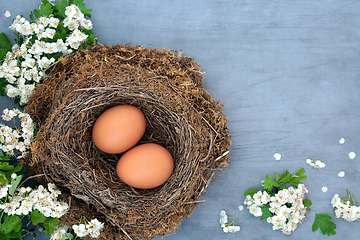 Image showing Natural Organic Brown Eggs High in Protein