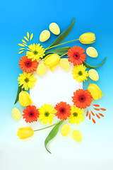 Image showing Abstract Easter Egg and Spring Flower Background Border