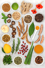 Image showing Healing Health Foods to Boost the Immune System