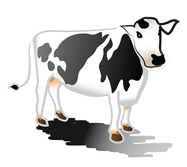 Image showing Black & white cow vector or color illustration