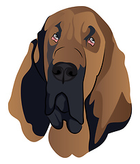 Image showing Blood Hound illustration vector on white background