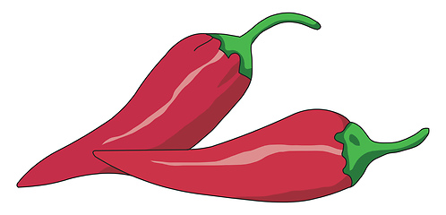 Image showing Fresh red spicy pepper vector or color illustration