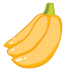 Image showing Bunch of banana vector or color illustration