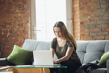 Image showing Young woman, businesswoman working or studying at home with laptop sitting on sofa. Attented, concentrated. Copyspace.