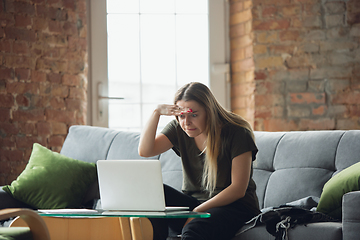 Image showing Young woman, businesswoman working or studying at home with laptop sitting on sofa. Attented, concentrated. Copyspace.