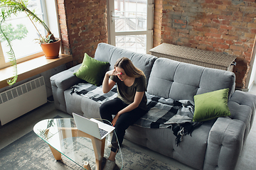 Image showing Young woman, businesswoman working or studying at home, looking on computer screen, monitor. Attented, concentrated. Copyspace. Top view.