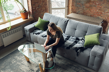 Image showing Young woman, businesswoman working or studying at home, looking on computer screen, monitor. Attented, concentrated. Copyspace. Top view.