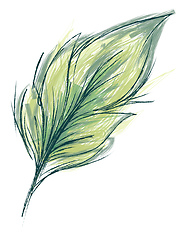 Image showing Feather with green threads vector or color illustration