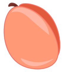 Image showing A fresh juicy apricot fruit to enjoy during summer vector color 