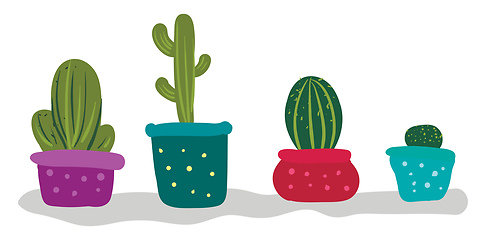 Image showing Bunch of cactus plants for indoor decoration provides extra styl