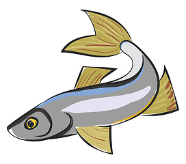 Image showing Clipart of a sig fish vector or color illustration