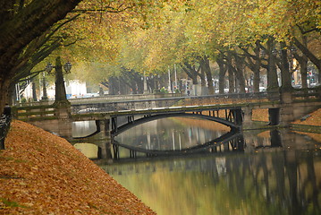 Image showing Autumn