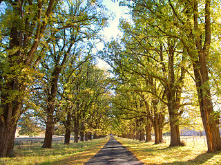 Image showing autumn country road