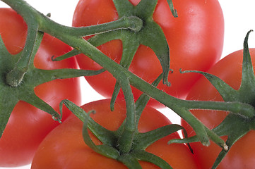 Image showing fresh tomatoes