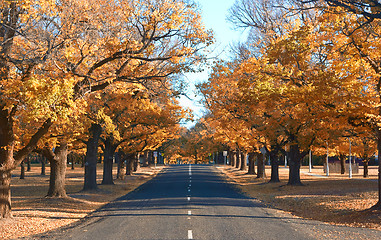 Image showing autumn country road