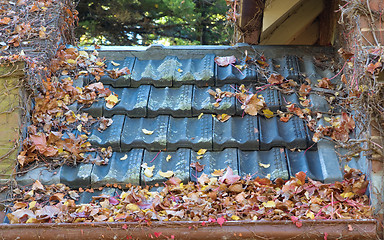 Image showing leaves in the gutter