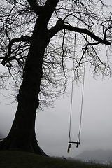 Image showing A single rope swing