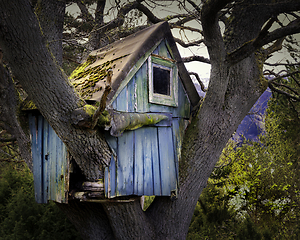 Image showing A tree hut.