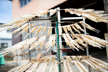 Image showing Drying out of squid