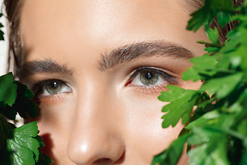 Image showing Close up of beautiful female face with organic treatment over white background. Cosmetics and makeup, natural and eco treatment, skin care.