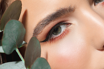 Image showing Close up of beautiful female face with organic treatment over white background. Cosmetics and makeup, natural and eco treatment, skin care.