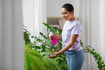 Image showing woman spraying houseplant with water at home