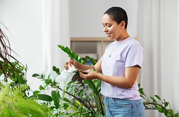 Image showing happy african american woman cleaning houseplant