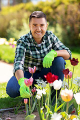 Image showing middle-aged man taking care of flowers at garden