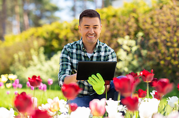 Image showing man with tablet pc and flowers at summer garden