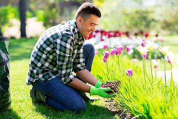 Image showing middle-aged man taking care of flowers at garden