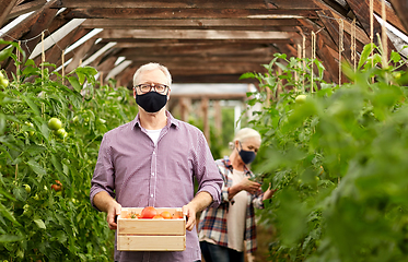 Image showing old couple with box of tomatoes at farm greenhouse