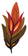 Image showing Brown and red feather vector or color illustration