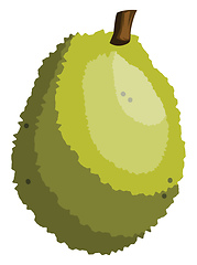 Image showing Green jackfruit vector illustration on white background.