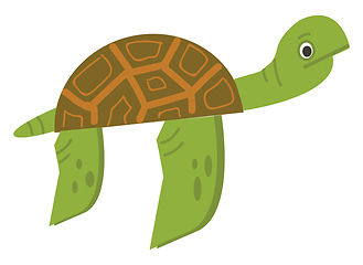 Image showing Turtle vector color illustration.